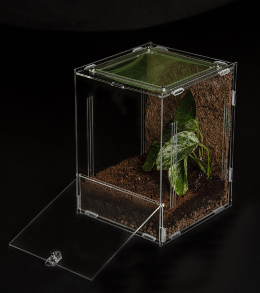 Mantis Den 3.0 Medium Enclosure (15x15x20cm) - Mantis Den