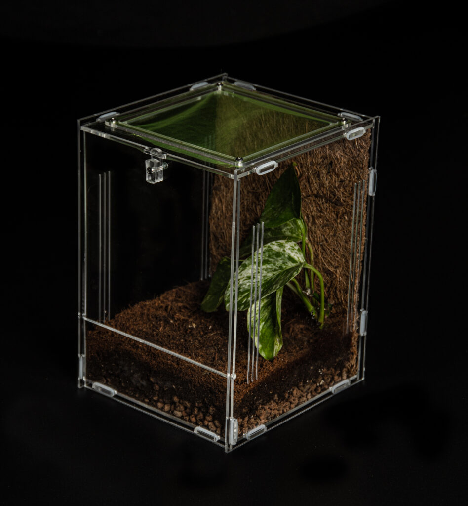 Mantis Den 3.0 Medium Enclosure (15x15x20cm) - Mantis Den