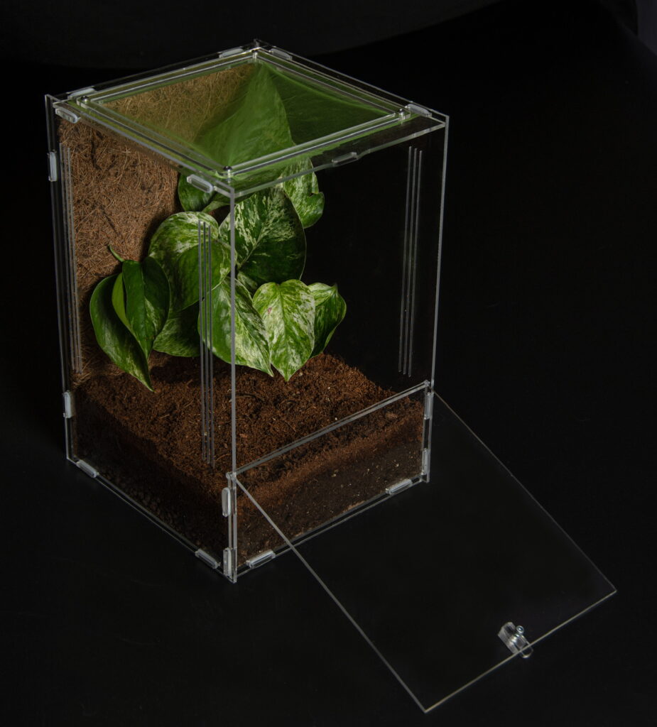 Mantis Den 3.0 Large Enclosure (19x19x29cm) - Mantis Den